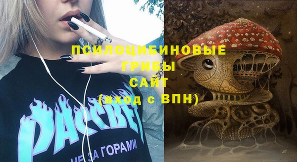 твердый Богородск