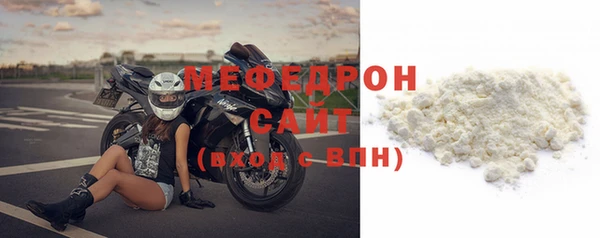 индика Сатка