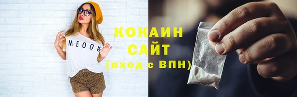 твердый Богородск