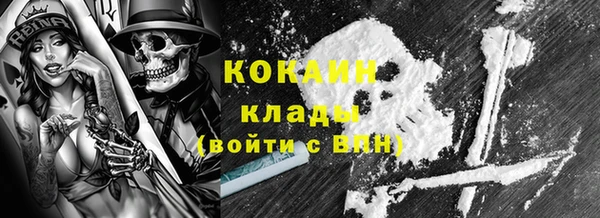твердый Богородск