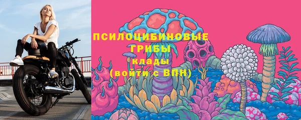твердый Богородск